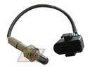 Sonda Lambda - 0