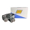 Cuerpo Mariposa - 7