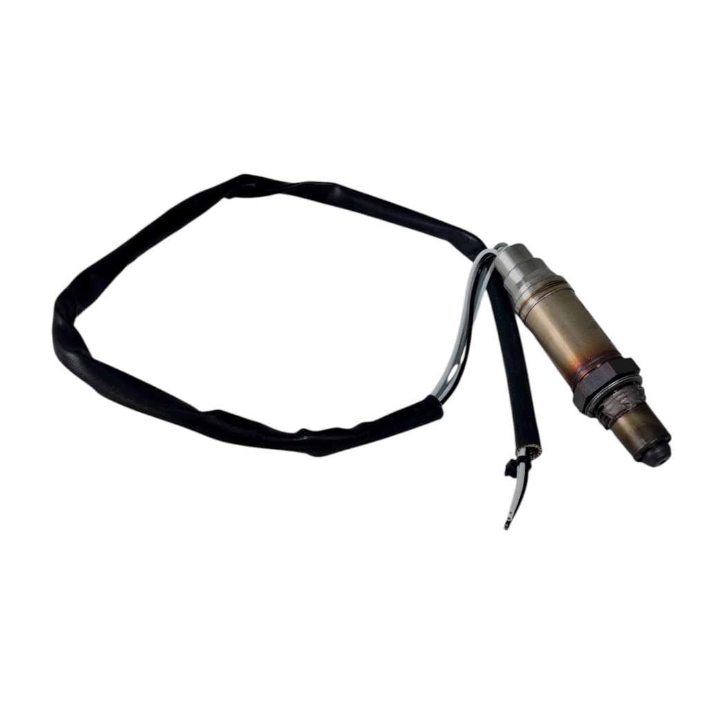 Sonda Lambda - 1
