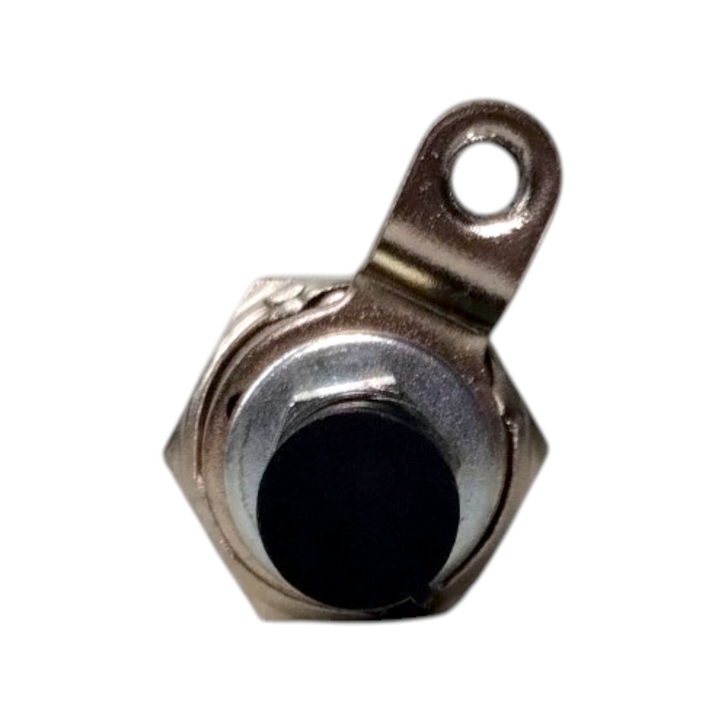 Bujia Diesel - 3