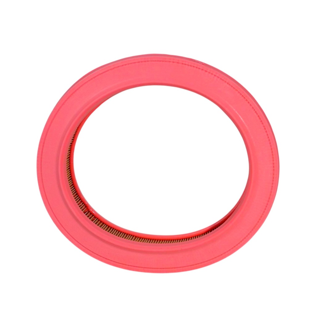 Filtro De Aire - 1