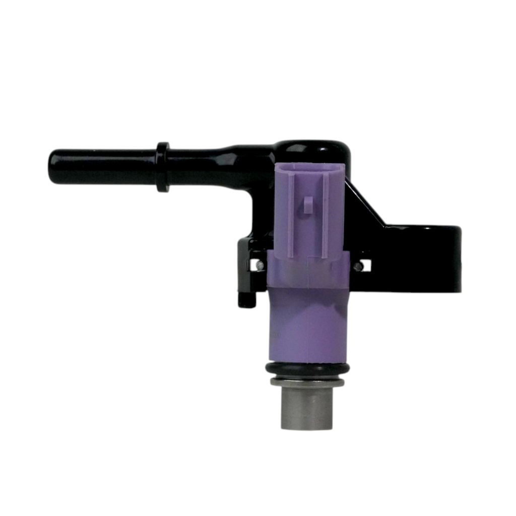 Inyector Nafta - 1