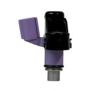 Inyector Nafta - 2