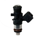 Inyector Nafta - 2