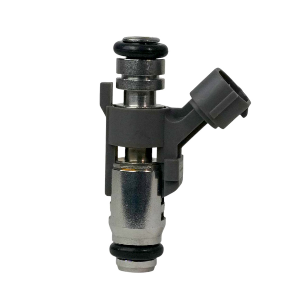 Inyector Nafta - 2