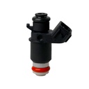 Inyector Nafta - 2