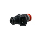 Inyector Nafta - 3