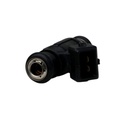 Inyector Nafta - 3