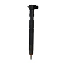 Inyector Diesel - 2