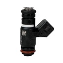 Inyector Nafta - 2