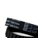 Correa Distribucion - 2