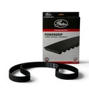 Correa Distribucion - 2