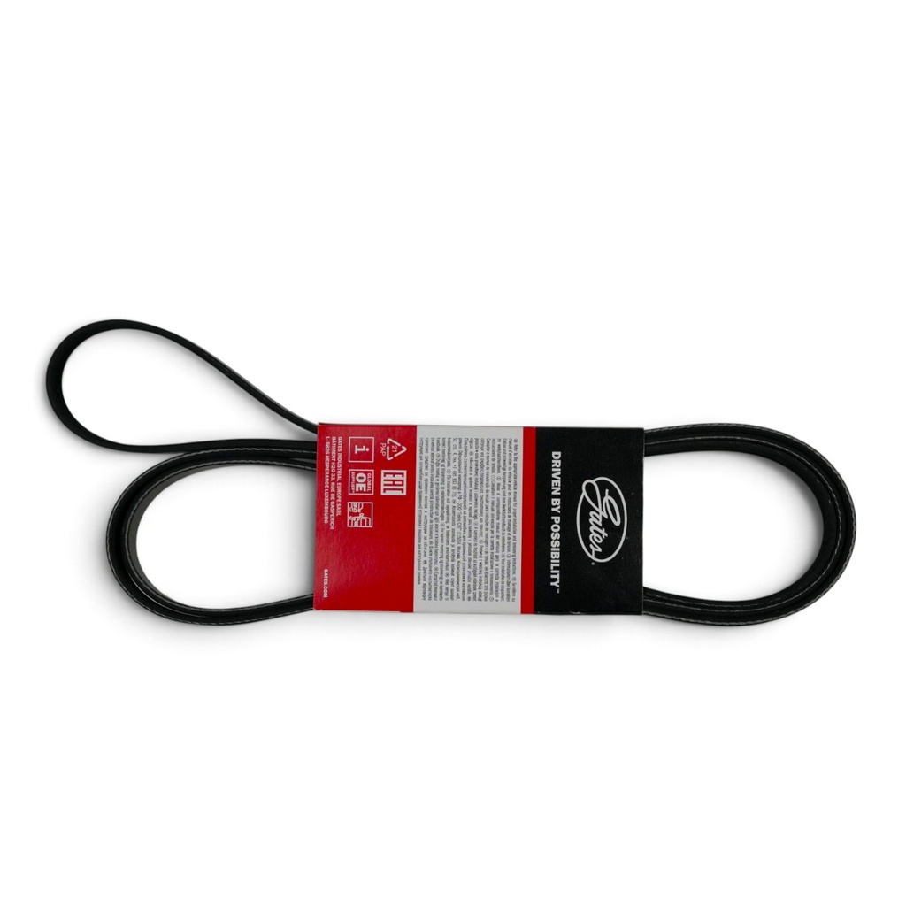 Correa Poly V - 0