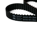 Correa Distribucion - 1
