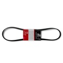 Correa Poly V - 0