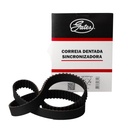 Correa Distribucion - 2