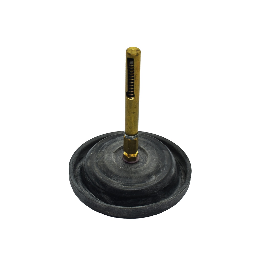 Pulmones Pulmon Depresor Solex Paia Completo