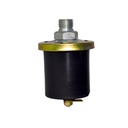 Bulbo De Presion De Aceite Cebolla