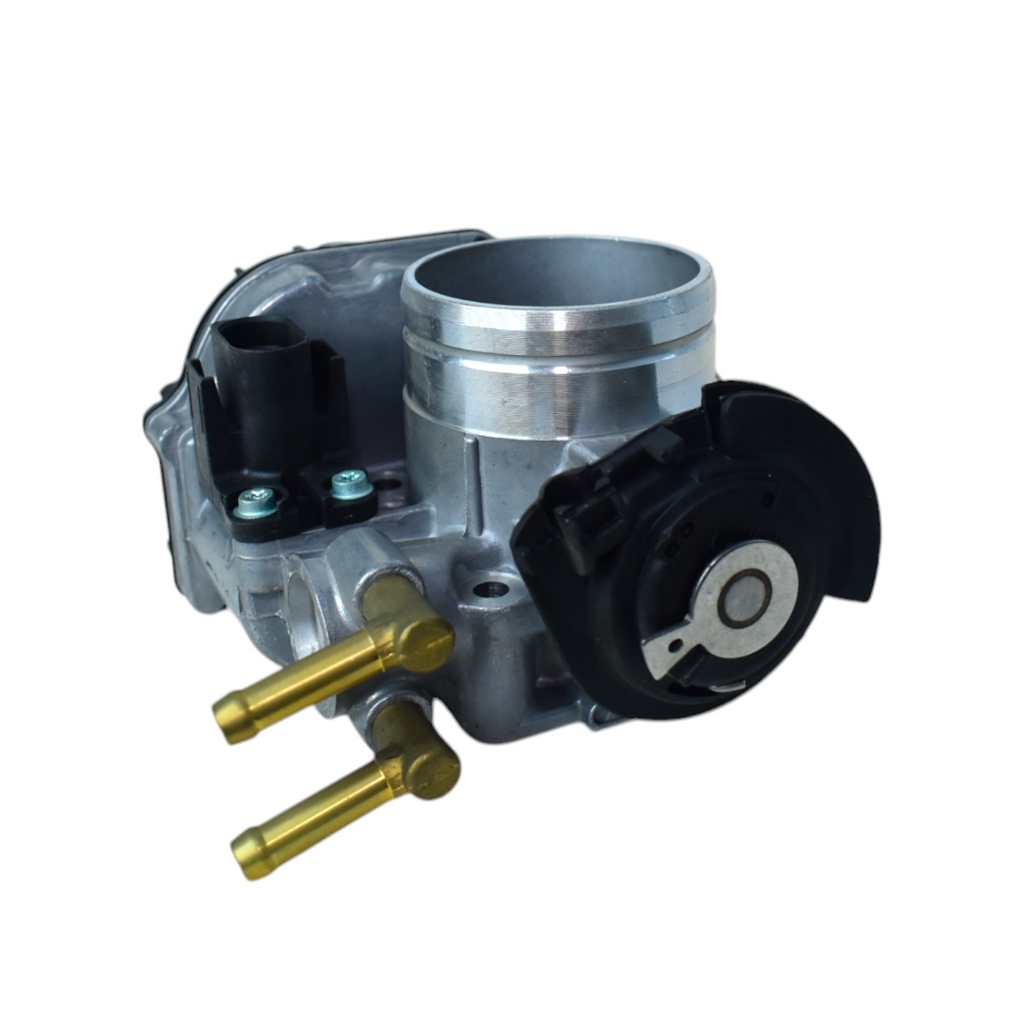 Cuerpo Mariposa