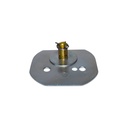 Mariposas De Cebador