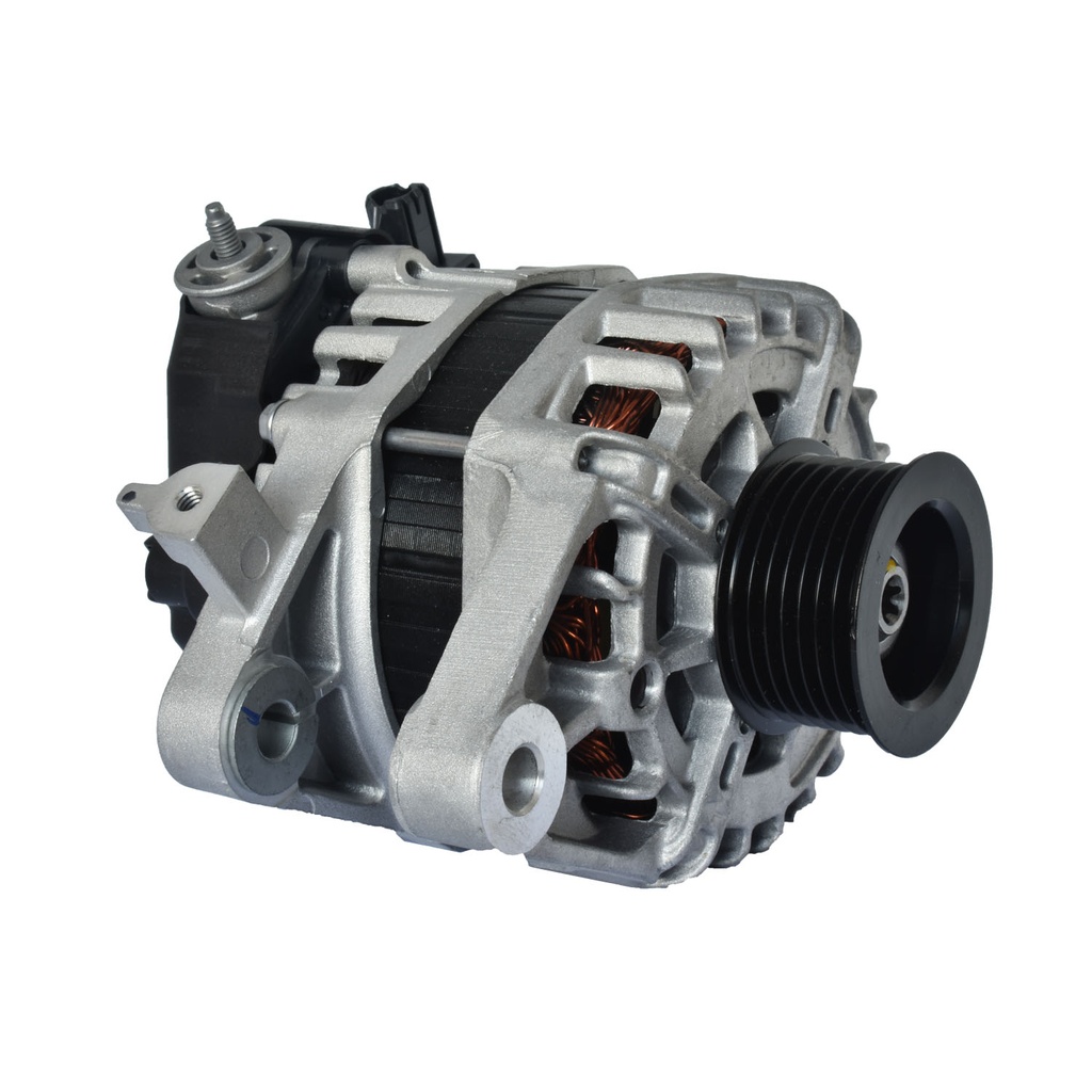 Alternador Completo