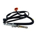 Sensor De Temperatura Egts