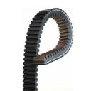 Correa De Transmision