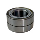 Rodamiento - Ruleman