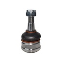 Rotula De Suspension