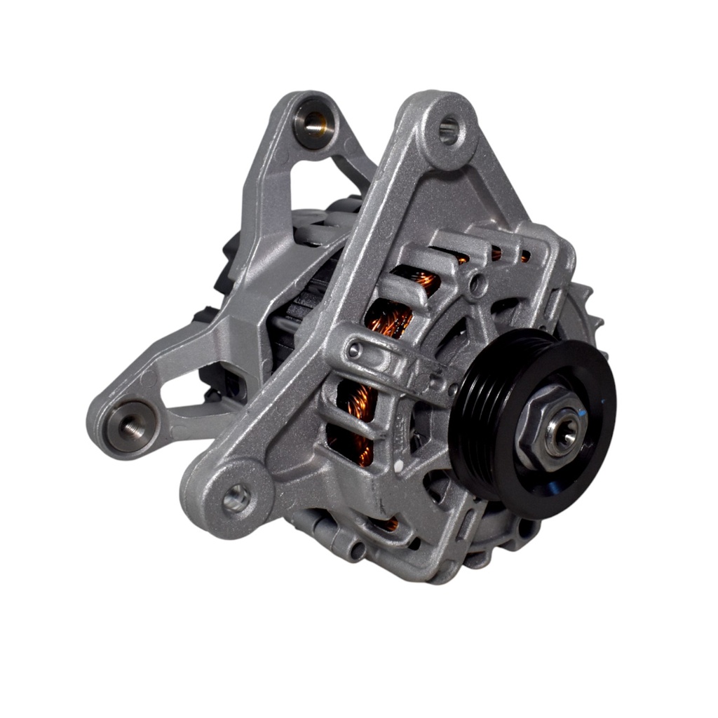 Alternador Completo