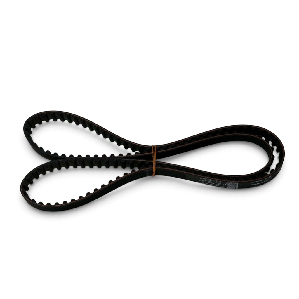 Correa Distribucion