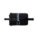 Filtro De Inyección Nafta