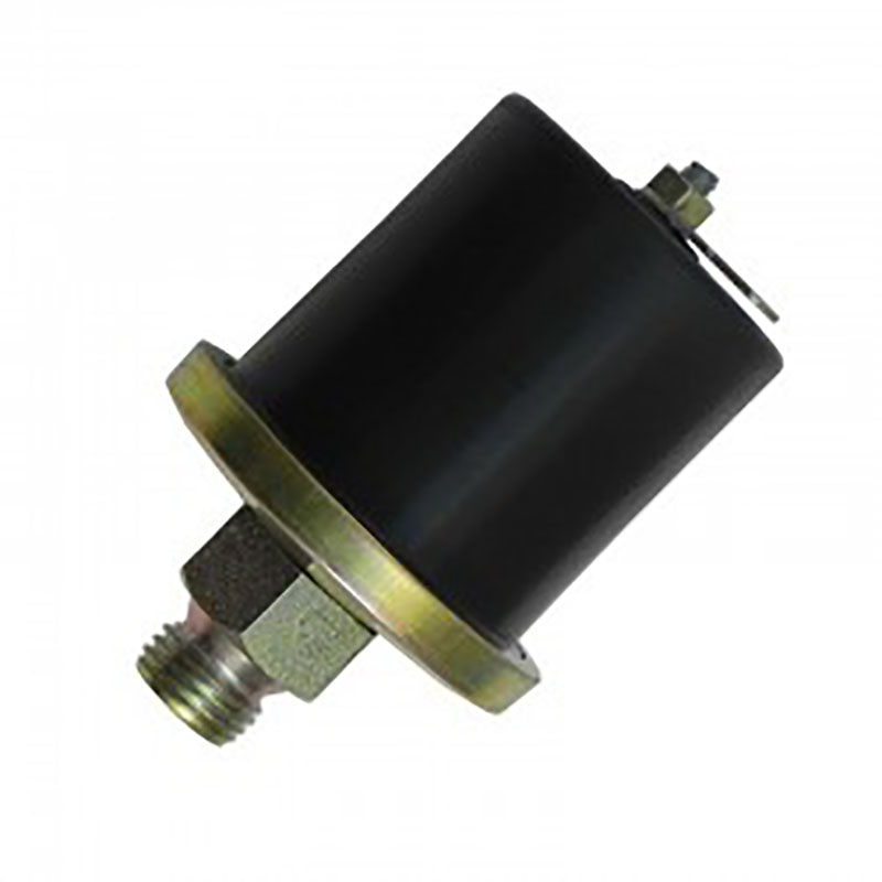 Bulbo De Presion De Aceite Cebolla