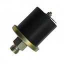 Bulbo De Presion De Aceite Cebolla