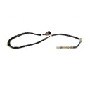 Sensor De Temperatura Egts
