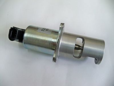 Valvula Egr