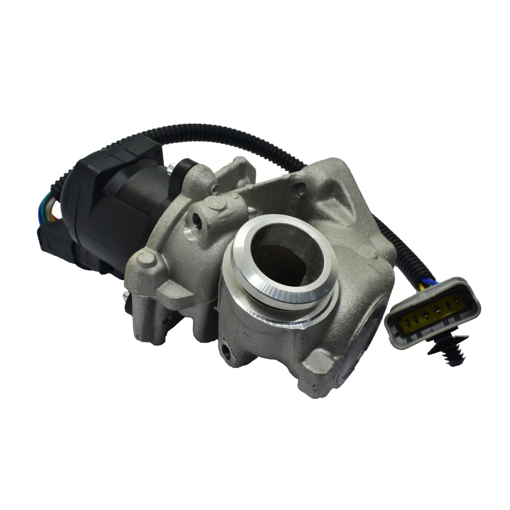 Valvula Egr