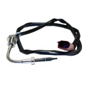 Sensor De Temperatura Egts