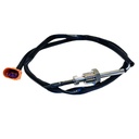 Sensor De Temperatura Egts