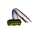 Ficha Para Inyeccion