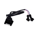 Ficha Para Distribuidor