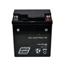 Bateria Gel