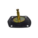 Diafragmas - Pistones