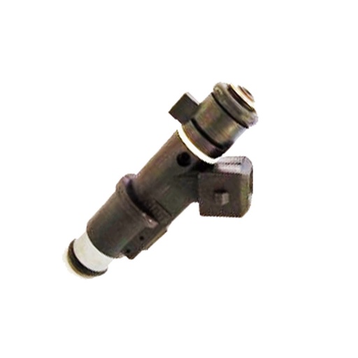 [01F003A] Inyector Nafta