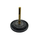 Pulmones Pulmon Depresor Solex Paia Completo