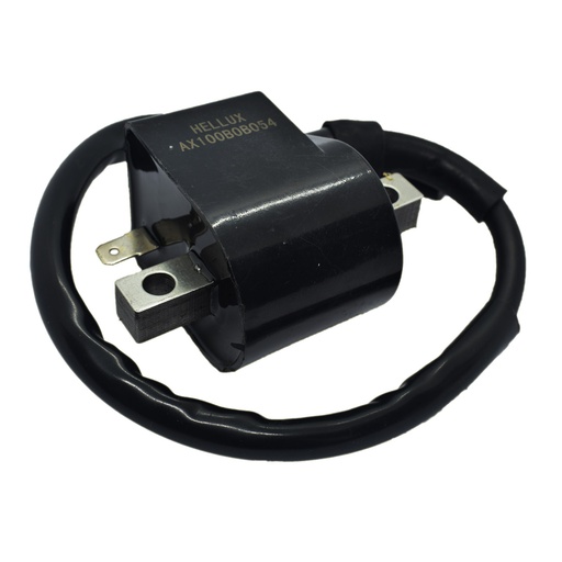 [HEAX100] Bobina De Encendido