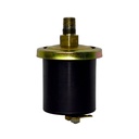 Bulbo De Presion De Aceite Cebolla