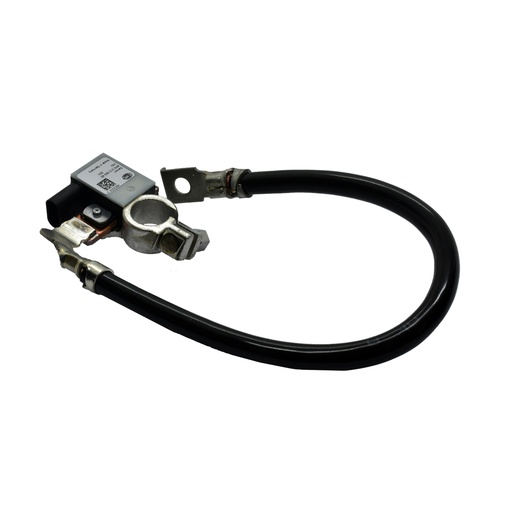 [6PK010562901] Sensor Inteligente De Bateria