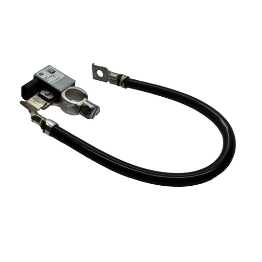 [6PK010562921] Sensor Inteligente De Bateria