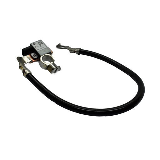 [6PK010562931] Sensor Inteligente De Bateria